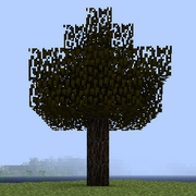 Дерево ели.png